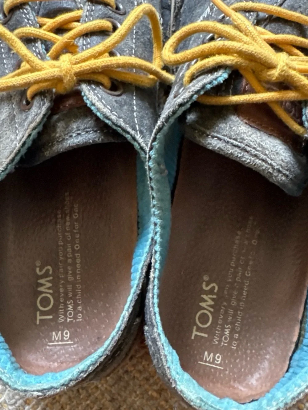 Toms gray brown